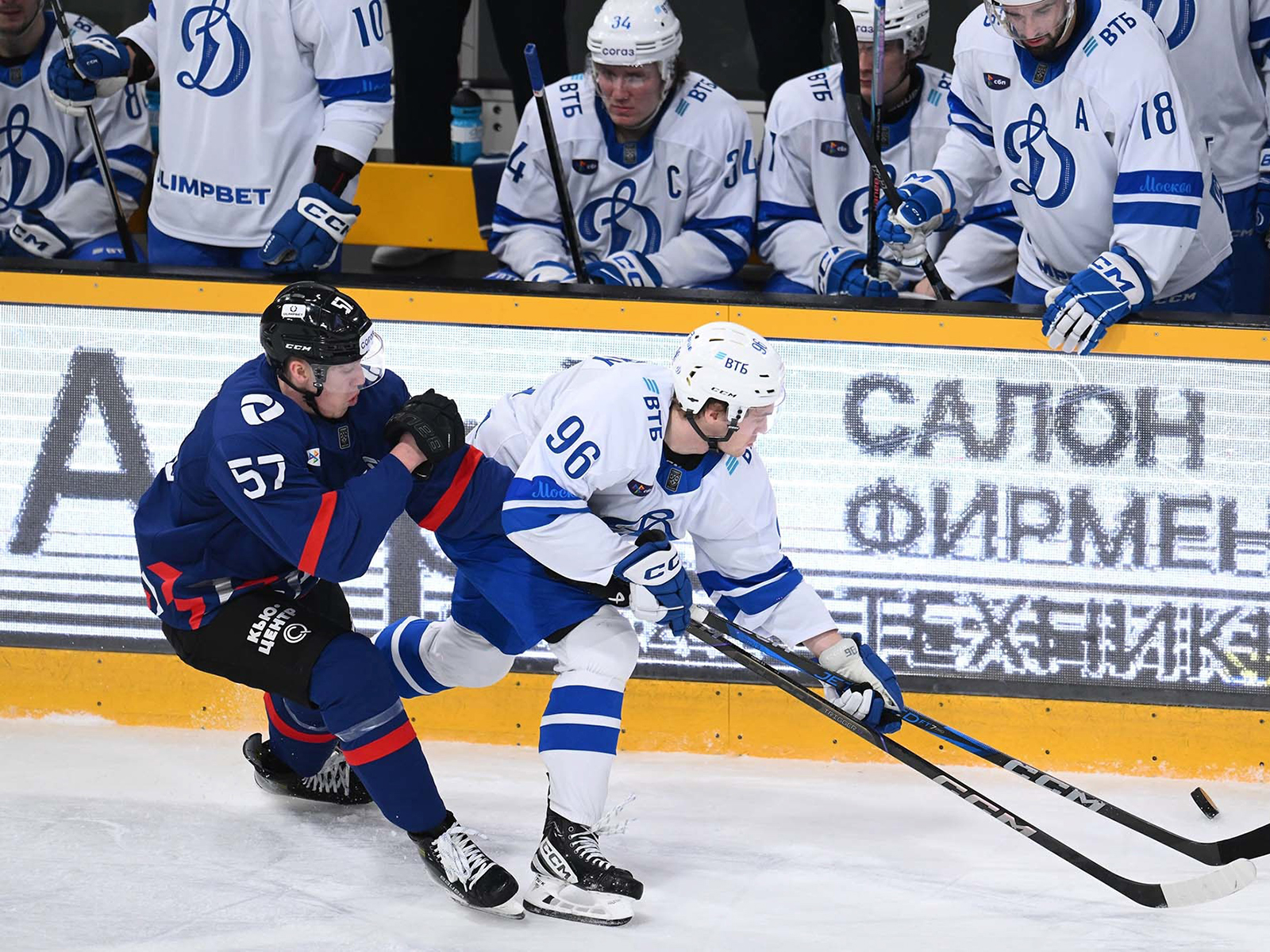Песня без слов. «Динамо» сыграет в Череповце