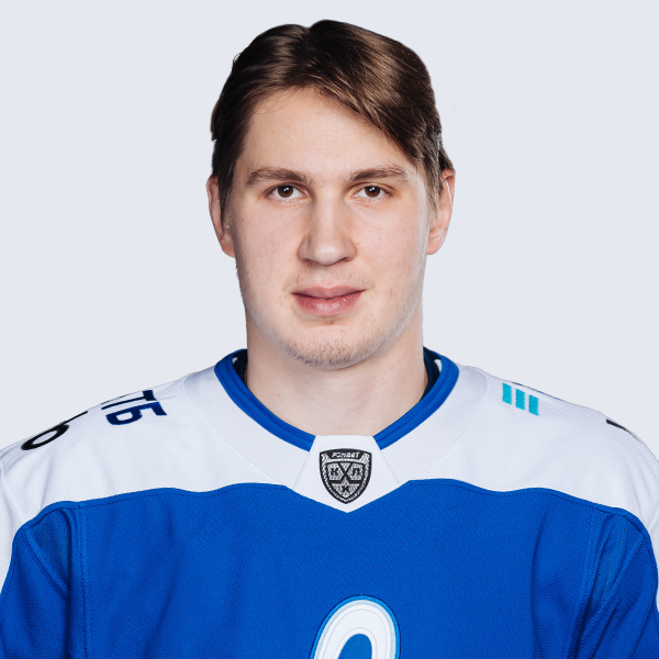 Новиков Никита В.