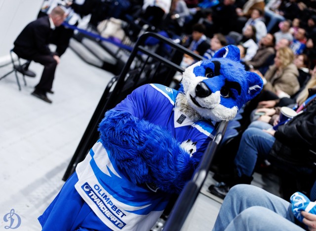 01.11.2025. Трибуны в лицах