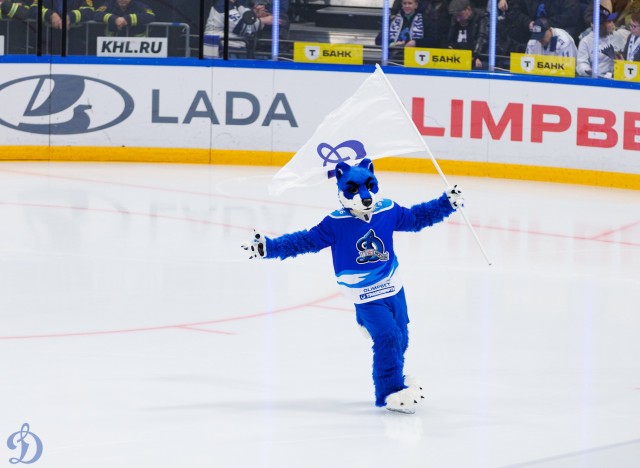 08.11.2025 Трибуны в лицах