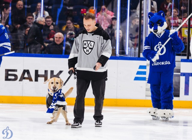 26.11.2025. «Динамо» — «Локомотив»