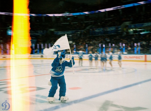 01.02.2026. «Динамо» — «Авангард» в пленочных кадрах