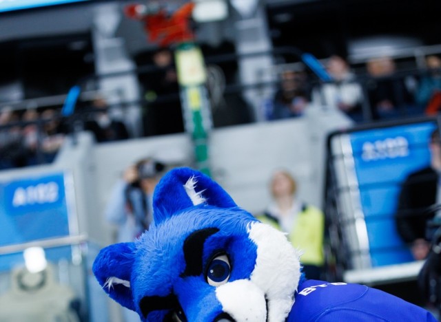 19.02.2026. Трибуны в лицах