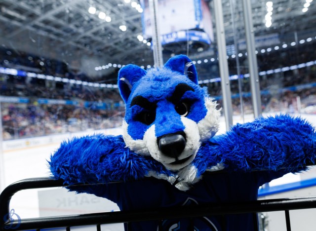 07.03.2026. Трибуны в лицах